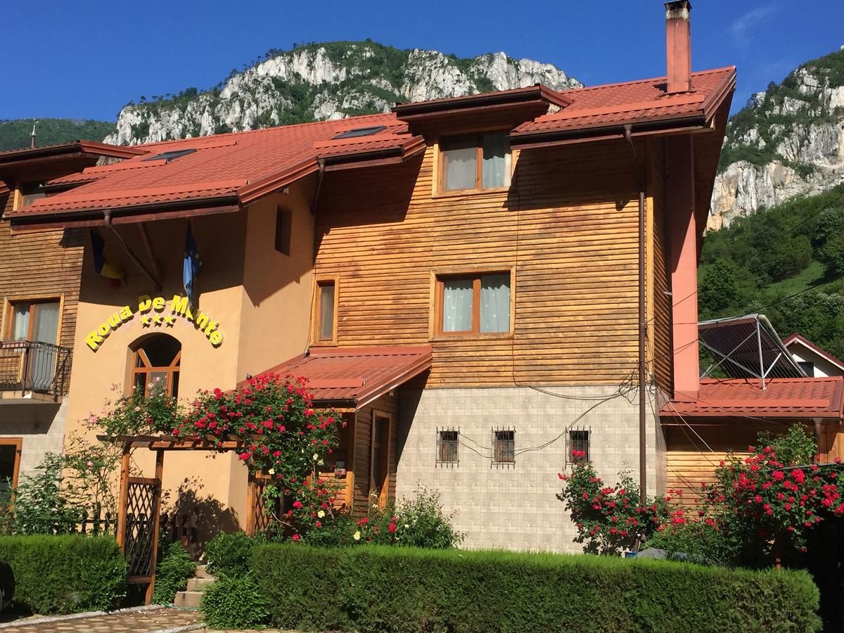 Гостевой дом Pension RouaDeMunte Бэиле-Еркулане-4