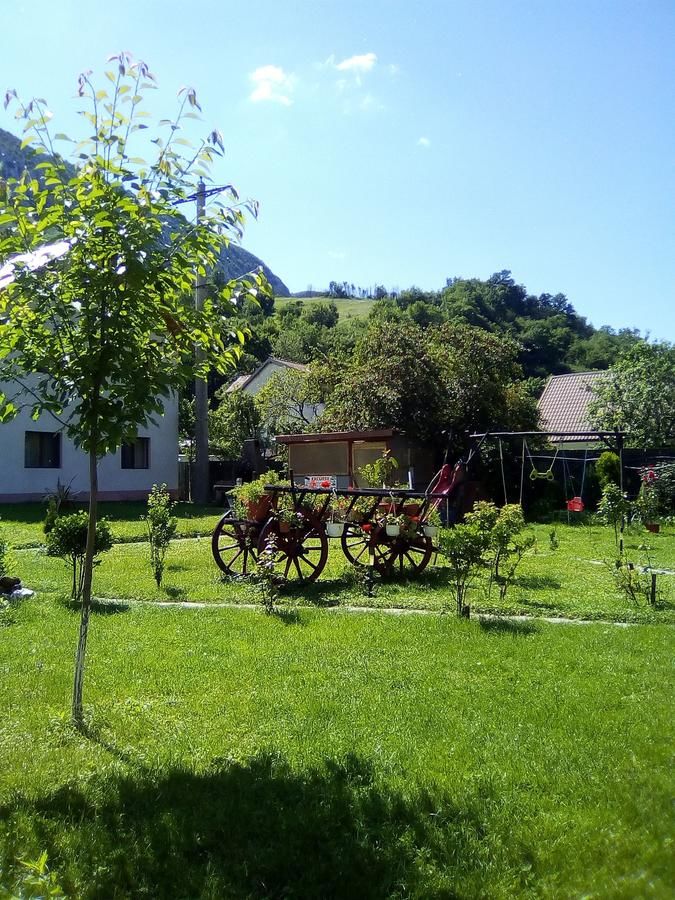 Гостевой дом Pension RouaDeMunte Бэиле-Еркулане-13