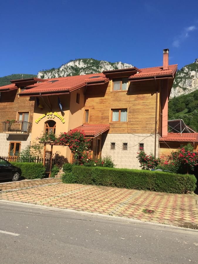Гостевой дом Pension RouaDeMunte Бэиле-Еркулане-14