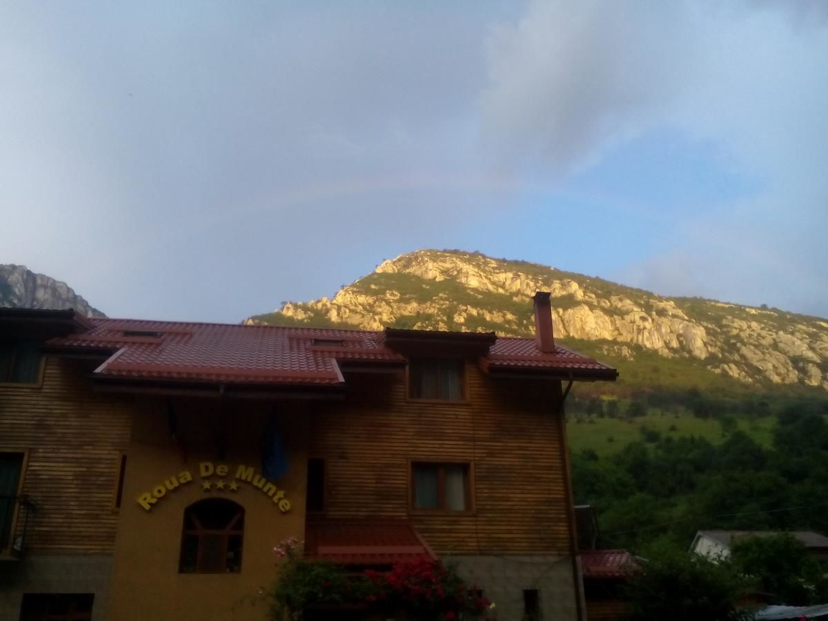 Гостевой дом Pension RouaDeMunte Бэиле-Еркулане-16