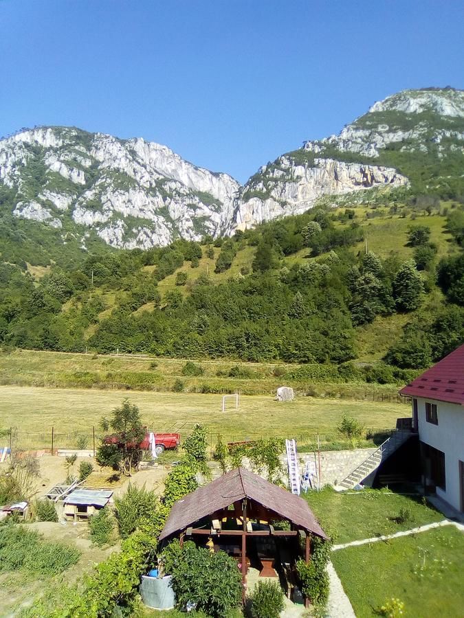 Гостевой дом Pension RouaDeMunte Бэиле-Еркулане-17