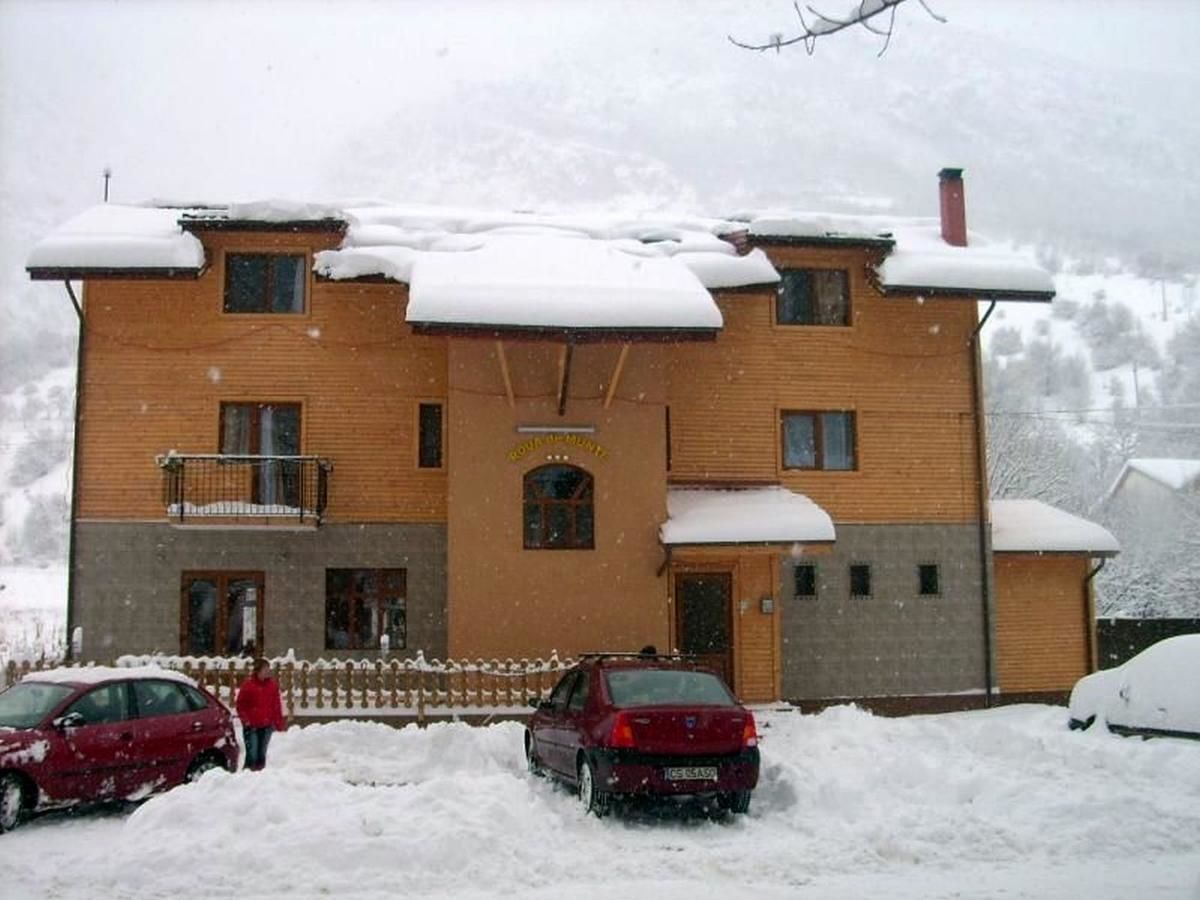 Гостевой дом Pension RouaDeMunte Бэиле-Еркулане-25