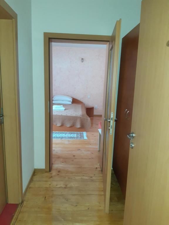 Гостевой дом Pension RouaDeMunte Бэиле-Еркулане