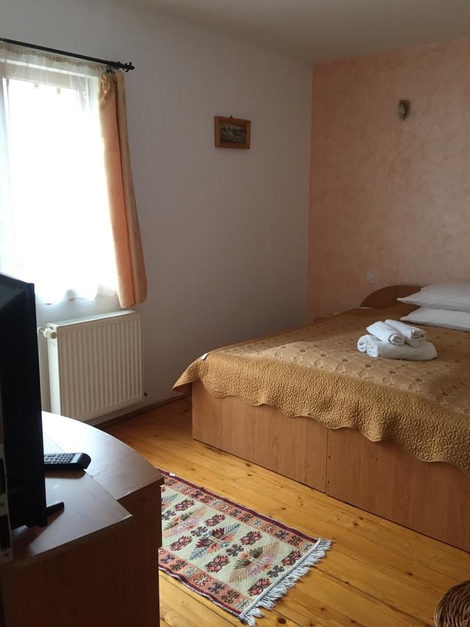 Гостевой дом Pension RouaDeMunte Бэиле-Еркулане