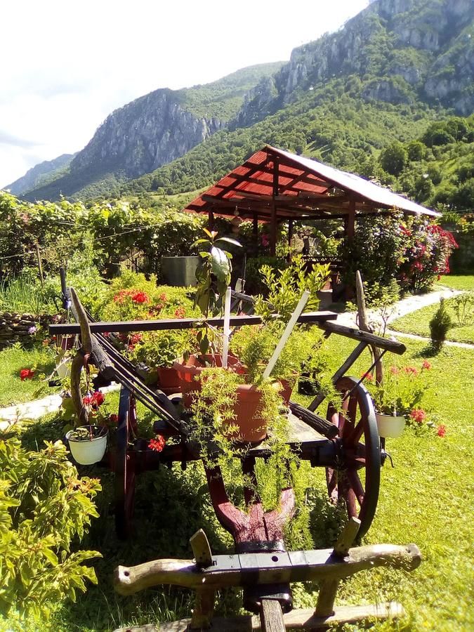 Гостевой дом Pension RouaDeMunte Бэиле-Еркулане-12