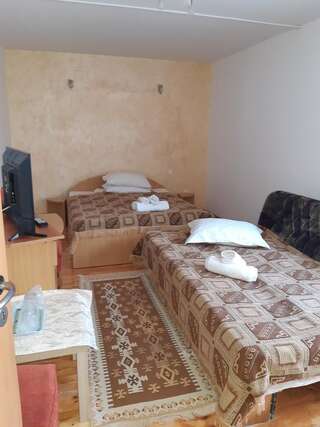 Гостевой дом Pension RouaDeMunte Бэиле-Еркулане-2